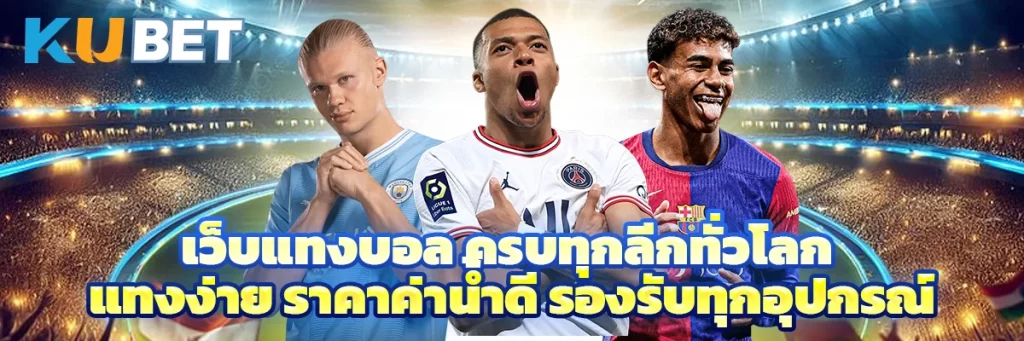 เว็บ แทงบอล